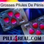 Grosses Pilules De Pénis 15